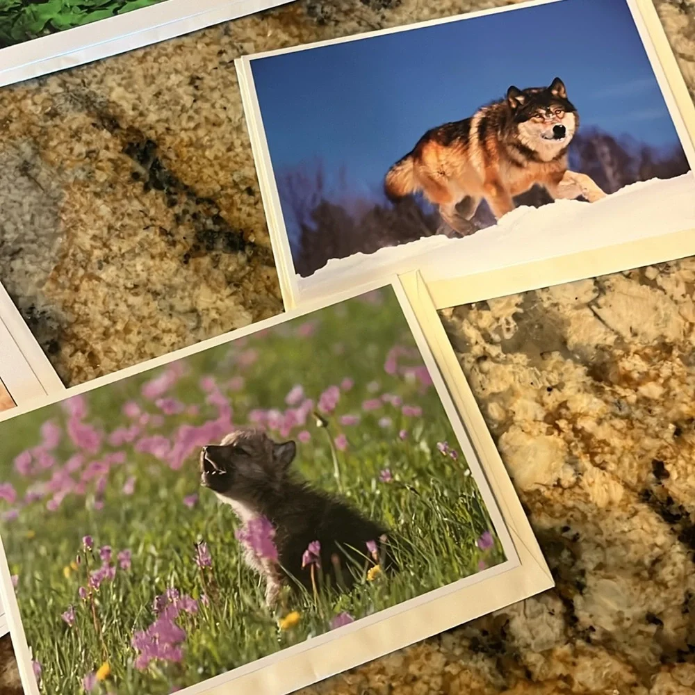 Wolf Themed Greeting Cards Set